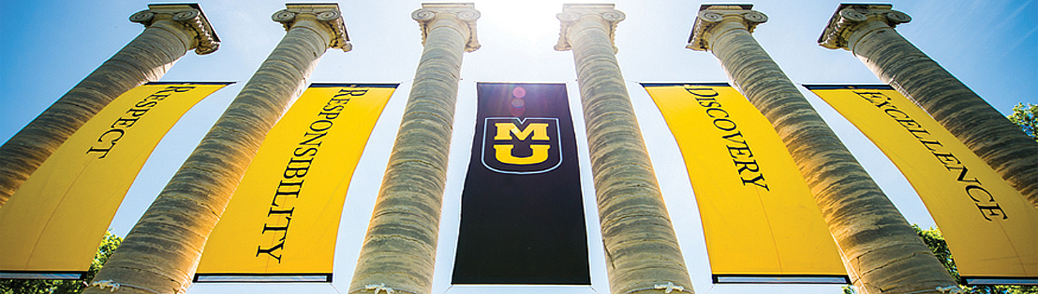 The Columns at The University of Missouri