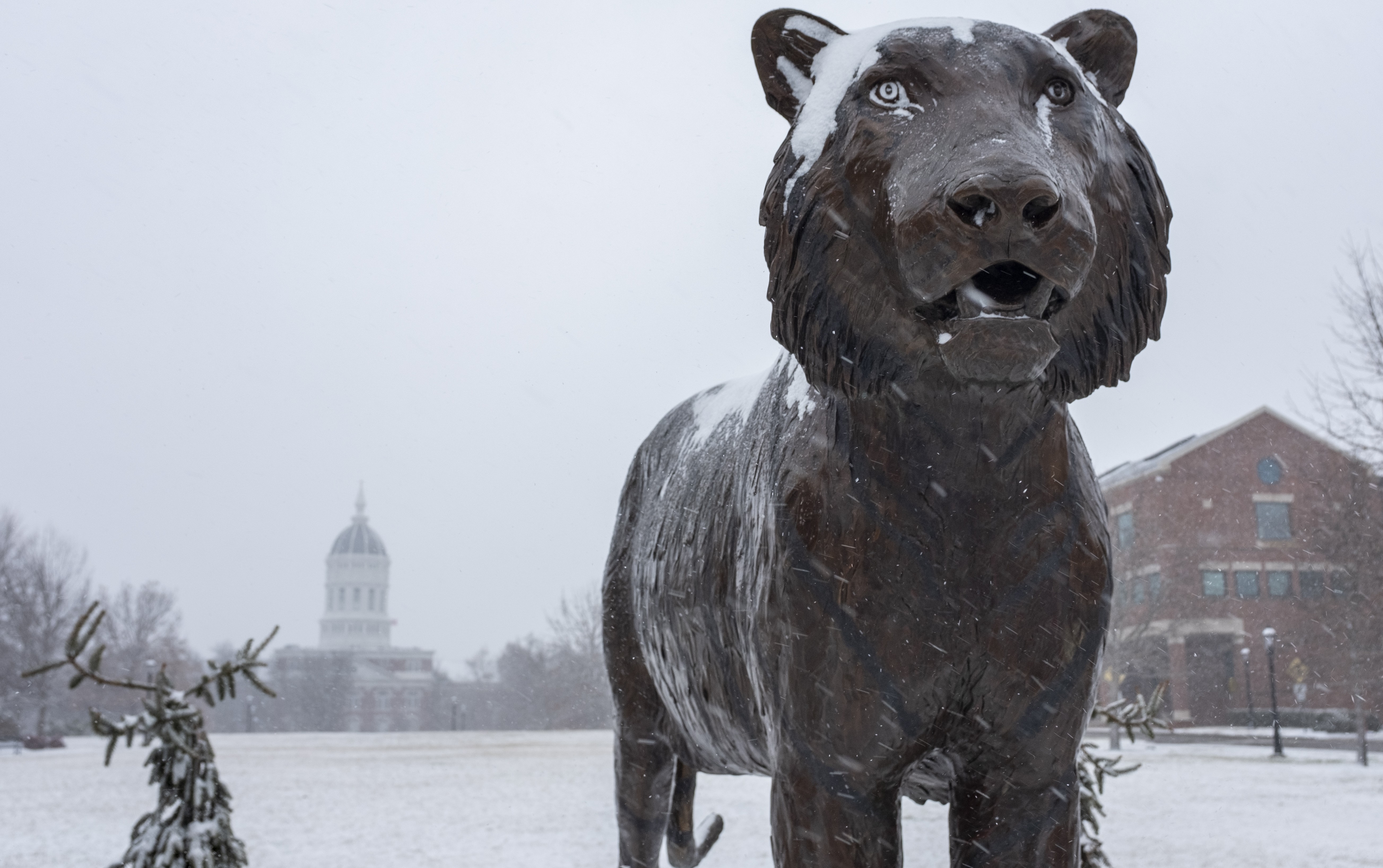Tiger Fountain During a Snow Storm